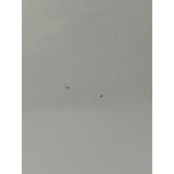 Doug the Pug "Pugs & Kisses" 1000 pc Jigsaw Puzzle Willow Creek Dogs Fun Humor - Picture 10 of 13